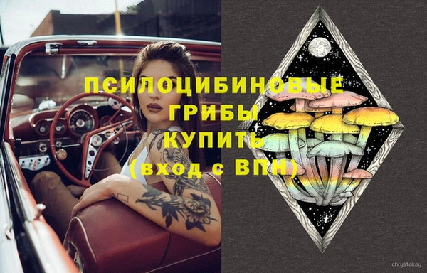 кокс Липки